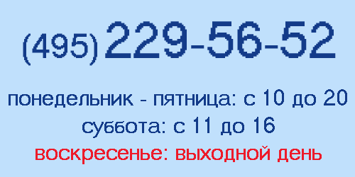  2025,     